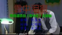 劉嘉云-雪中淚痕(電視連續(xù)《雪中紅》主題曲)_標(biāo)清