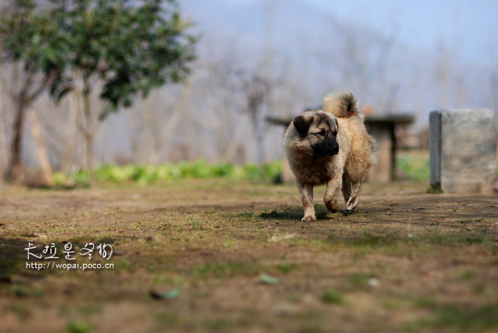 http://www.119127.cn/pics/default/download/7983975ee756c9def89ac66ccbaa65ce.jpg