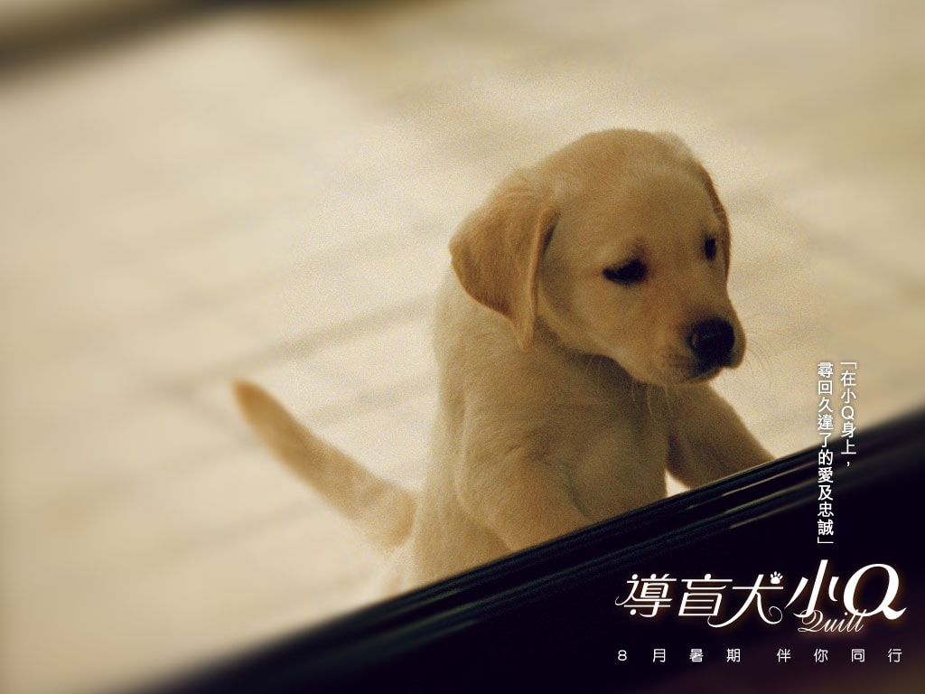http://www.119127.cn/pics/default/download/7ad94b0d467f71bce0aaaaf5e19cd529.jpg