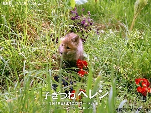 http://www.119127.cn/pics/default/download/7b18766fe7d918484f36e1a273dbe8ea.jpg