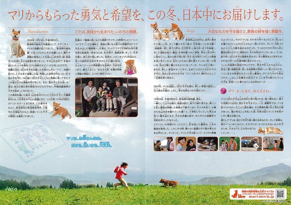 http://www.119127.cn/pics/default/download/7bc0330d08caf41580ce00ec8d04b51b.jpg