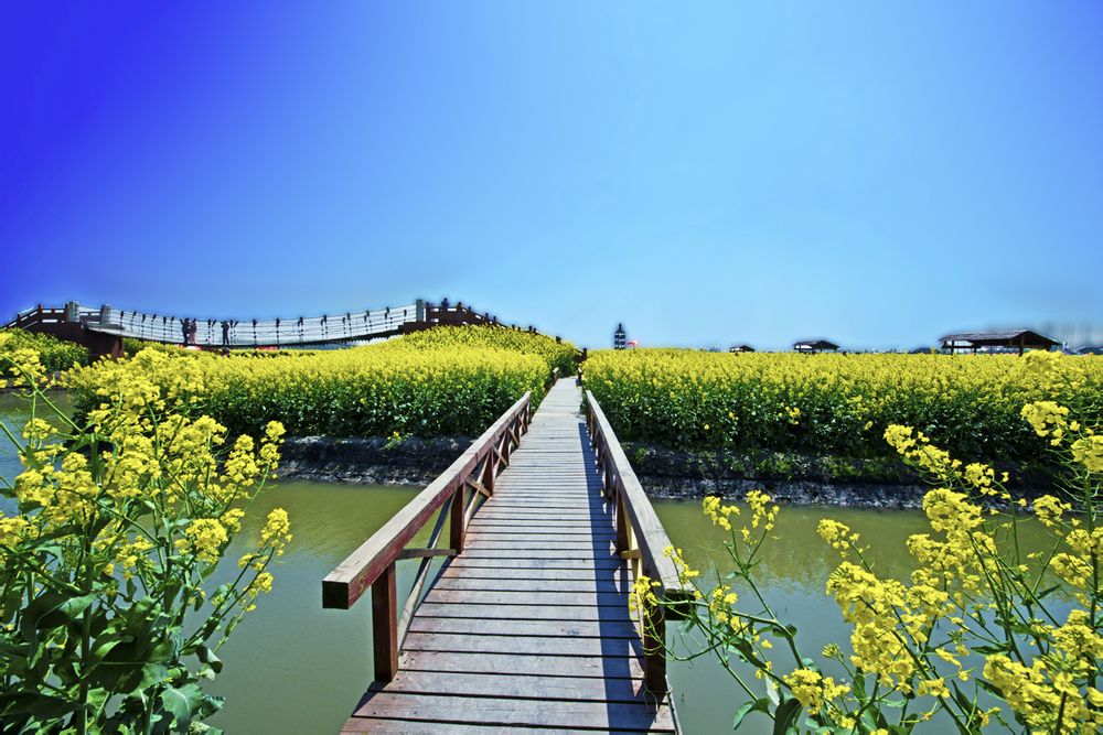 http://www.119127.cn/pics/default/download/7cd53fe2e178be2e5d7053249717fa23.jpg
