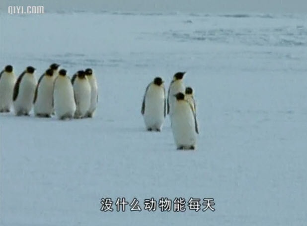 http://www.119127.cn/pics/default/download/80633480ac167101a264186a7c3a0e43.jpg