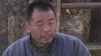 《鐵血戰(zhàn)狼》兄弟同心驅(qū)狼打鬼