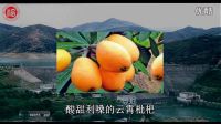 福建省漳州市云霄縣峰頭村生態宣傳視頻——福州大學赴云霄縣“美麗鄉村”發展幫扶實踐隊宣