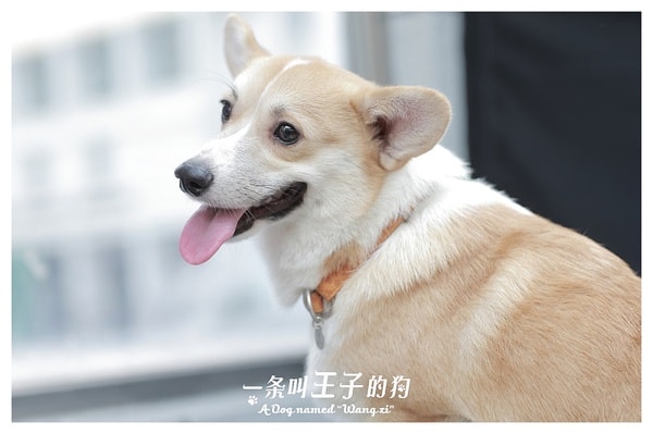 http://www.119127.cn/pics/default/download/8261e67a74e444f76ffa6f3adf9d1c06.jpg