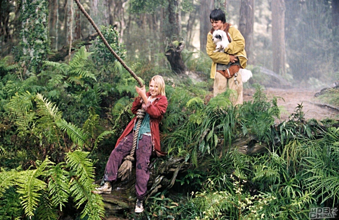 Bridge to Terabithia 仙境之橋