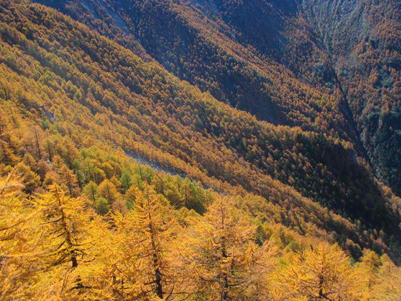 http://www.119127.cn/pics/default/download/830e6b963ac24e5e607a5832a7b50d06.jpg
