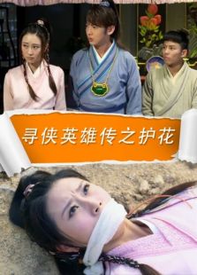 尋俠英雄傳之護(hù)花