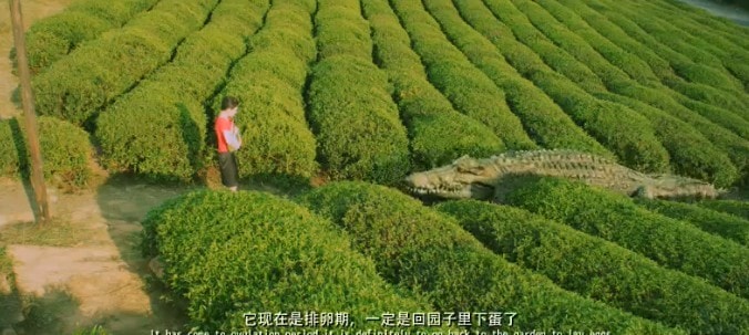 http://www.119127.cn/pics/default/download/8435c3e2358b476156180c61a2868cf6.jpg