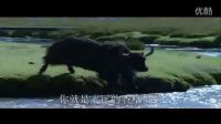 永遠(yuǎn)的香格里拉-林美羨（演唱）