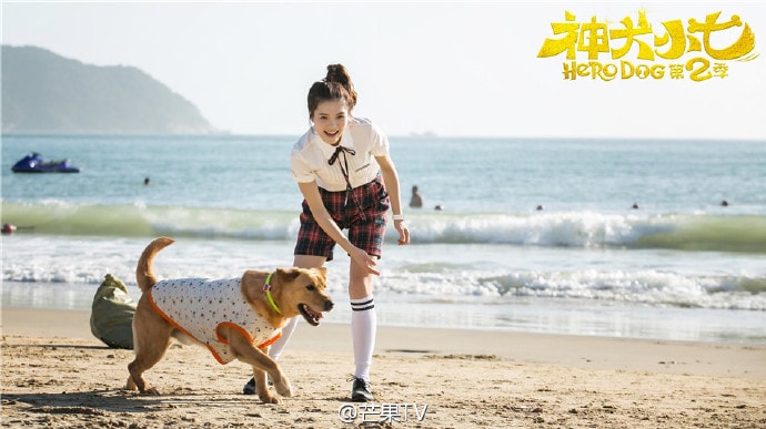 http://www.119127.cn/pics/default/download/871a510a568bf3486464562ac615752c.jpg