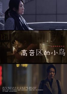 高音區(qū)的小鳥