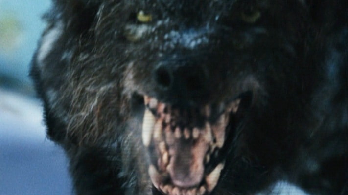 http://www.119127.cn/pics/default/download/873f00b37eb3e48dc60a715c593794a5.jpg