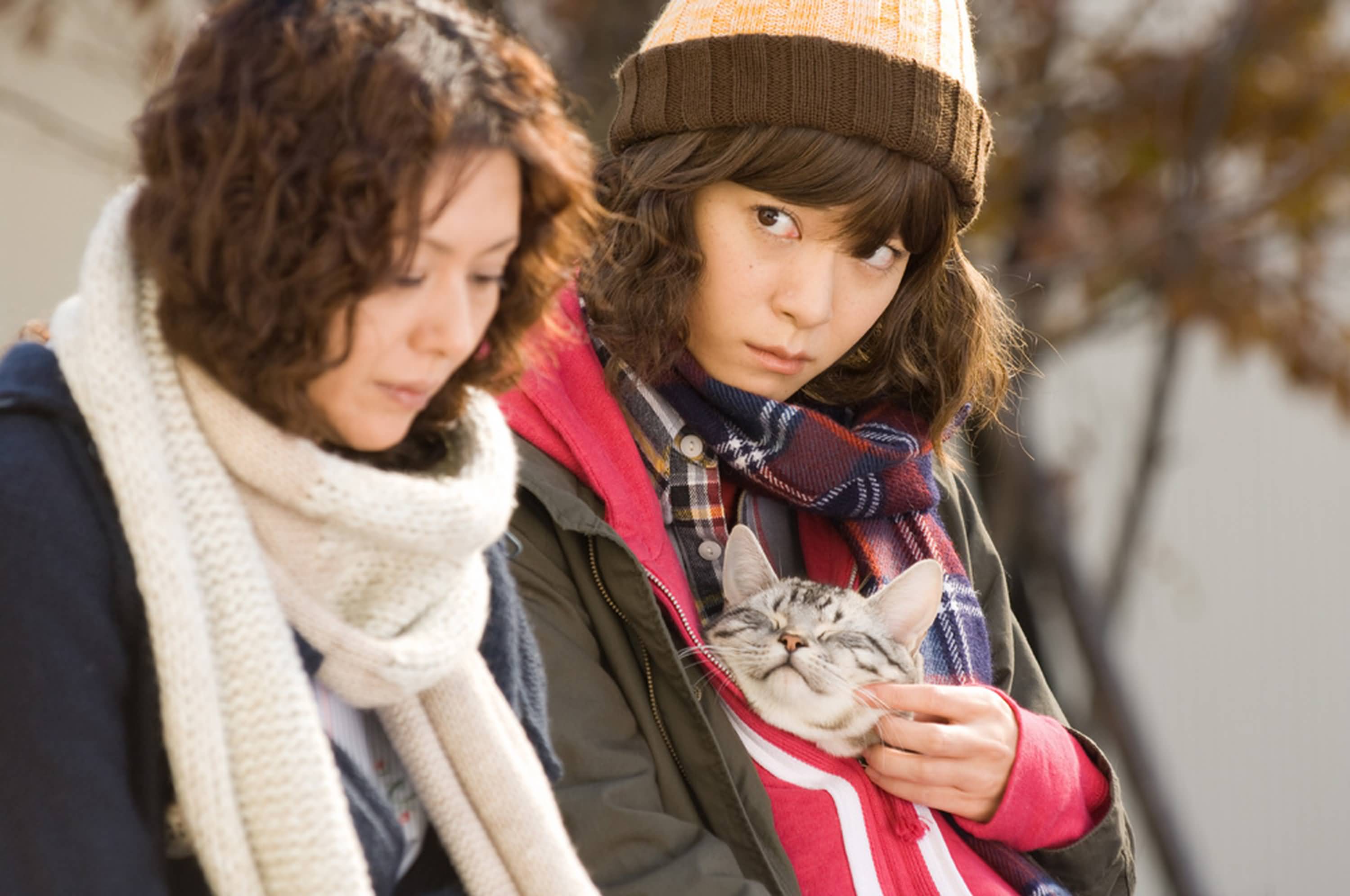 http://www.119127.cn/pics/default/download/8744df4f2d6915a4f0641bf46fb94dd7.jpg