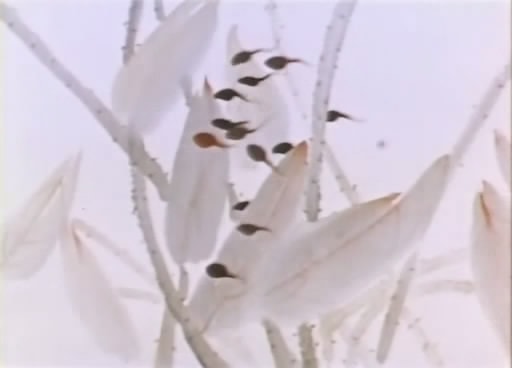 http://www.119127.cn/pics/default/download/8800fd14c17b94d1b8330b2f324476a6.jpg