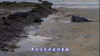 咱爸咱媽（海濱日出風(fēng)光）（原畫）