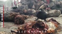 魔力誓言 抗日中國(guó) 經(jīng)典視頻教材