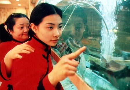 http://www.119127.cn/pics/default/download/8aa71eb47c76b3d513af43b3bdcfe45c.jpg