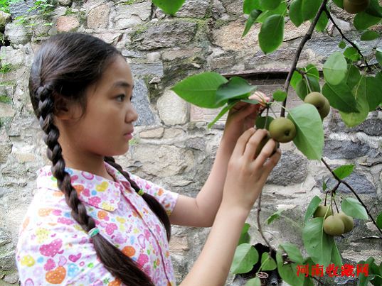 http://www.119127.cn/pics/default/download/8b6b32278ca95f0861cb4d56ee4f8e98.jpg