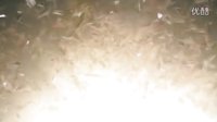 【美劇極客】遠古入侵：新世界(Primeval:New Wolrd)預(yù)告片