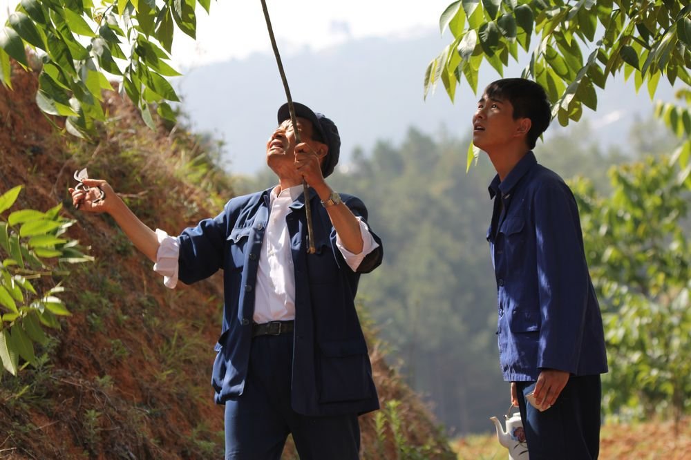 http://www.119127.cn/pics/default/download/914258e5fe763c6981b155ff0d8497c5.jpg