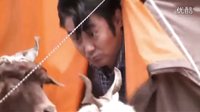 《馬向陽下鄉》  首款片花  國民大叔 吳秀波 鄉村奇遇記