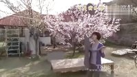 市政廳，幻想的舞伴