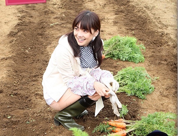 http://www.119127.cn/pics/default/download/93463be19ce31e80cc13c5a23bae4e68.jpg