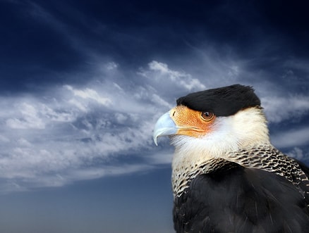 http://www.119127.cn/pics/default/download/93c030e0589e137054fc6a67a7a39c67.jpg