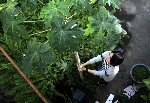 http://www.119127.cn/pics/default/download/94eb33b8aae4d2d85d511ef6c90cf3ec.jpg