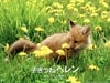 http://www.119127.cn/pics/default/download/98354a34bbe8194223344671417fcf38.jpg