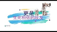 神犬奇兵7月15日起登陸山西衛(wèi)視催淚來襲