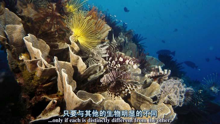 http://www.119127.cn/pics/default/download/992b0373551d3691d583e4fe0482bdde.jpg