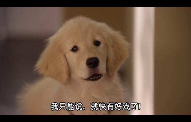 http://www.119127.cn/pics/default/download/9ad0e3e42094f2b031b11208bd176786.jpg
