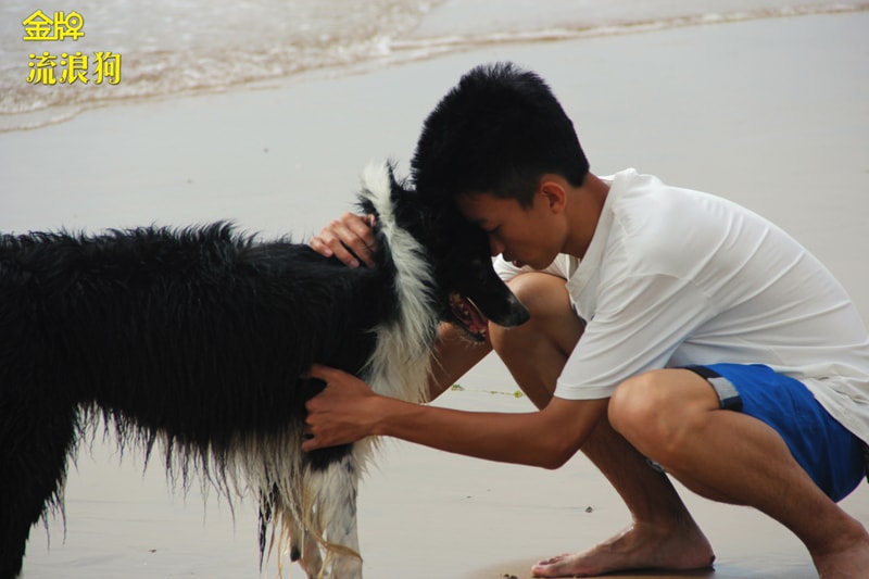 http://www.119127.cn/pics/default/download/9b3ef285239f57548dd78e14f0046c90.jpg