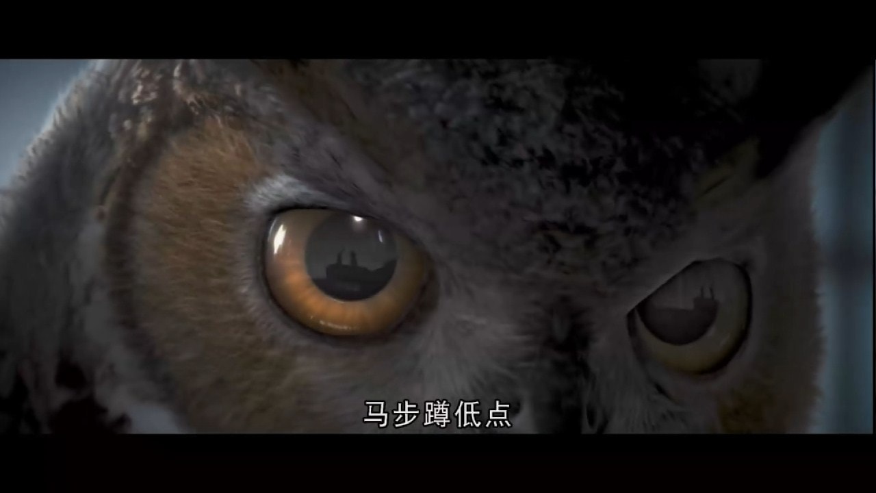 http://www.119127.cn/pics/default/download/9b6ccb9527f2e8b5389a97f21606e04b.jpg