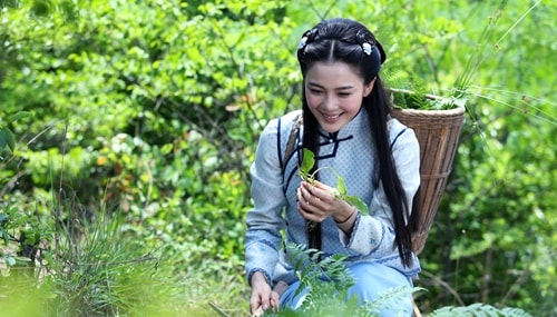 http://www.119127.cn/pics/default/download/9cbef1a0d0dba3443201b28d51fea355.jpg