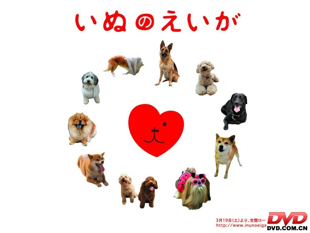 http://www.119127.cn/pics/default/download/9d2eeb60d8298b3568049868797c99bf.jpg