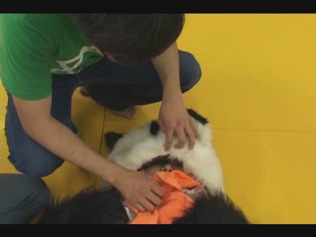 http://www.119127.cn/pics/default/download/9d60e8c7a3e482ec92dc68258a2b8384.jpg