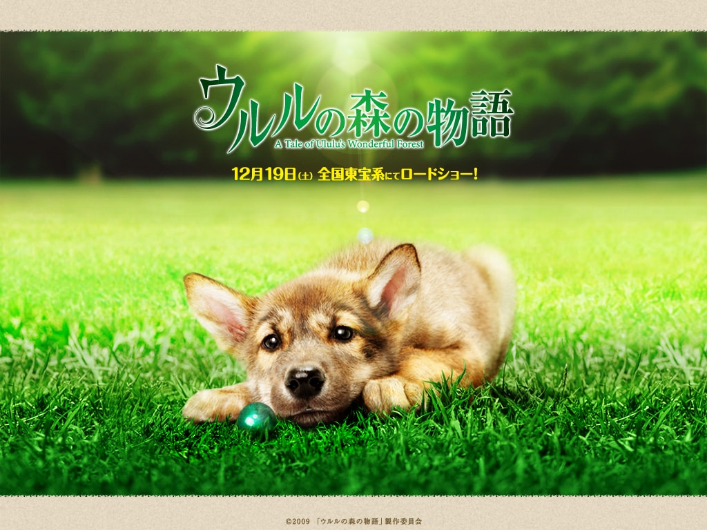 http://www.119127.cn/pics/default/download/9e087f6568eadd405d45aa2c862c0646.jpg