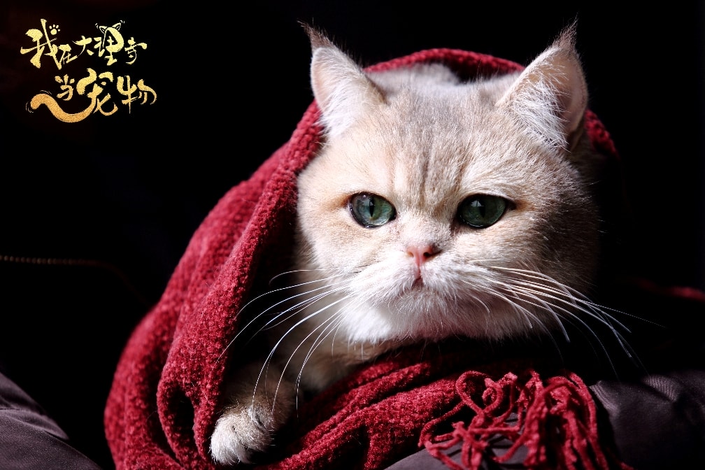 http://www.119127.cn/pics/default/download/9ea9/edf0d36ff41f13ab8f537f985de4.jpg