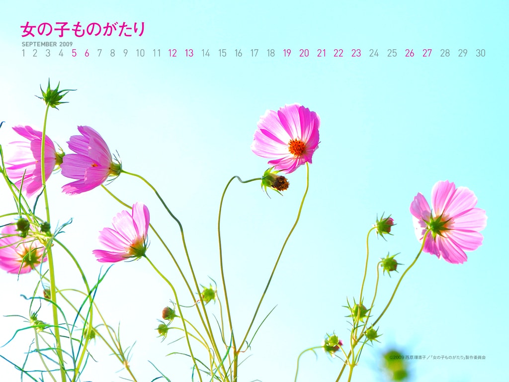 http://www.119127.cn/pics/default/download/a0e3884b7f9edc3bb7e348d1bd8bbdf3.jpg