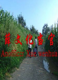 薛文化當官