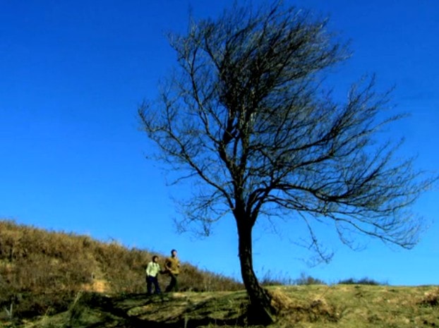 http://www.119127.cn/pics/default/download/a17a68f04eec386ae4aec315d495cbb0.jpg