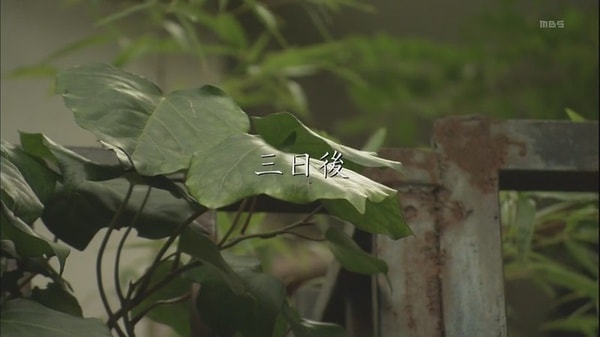 http://www.119127.cn/pics/default/download/a19a6a304e43ba1d648a17e811d707b5.jpg