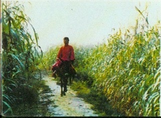 http://www.119127.cn/pics/default/download/a29f671803f2ce424db27e7c84bfa3f5.jpg