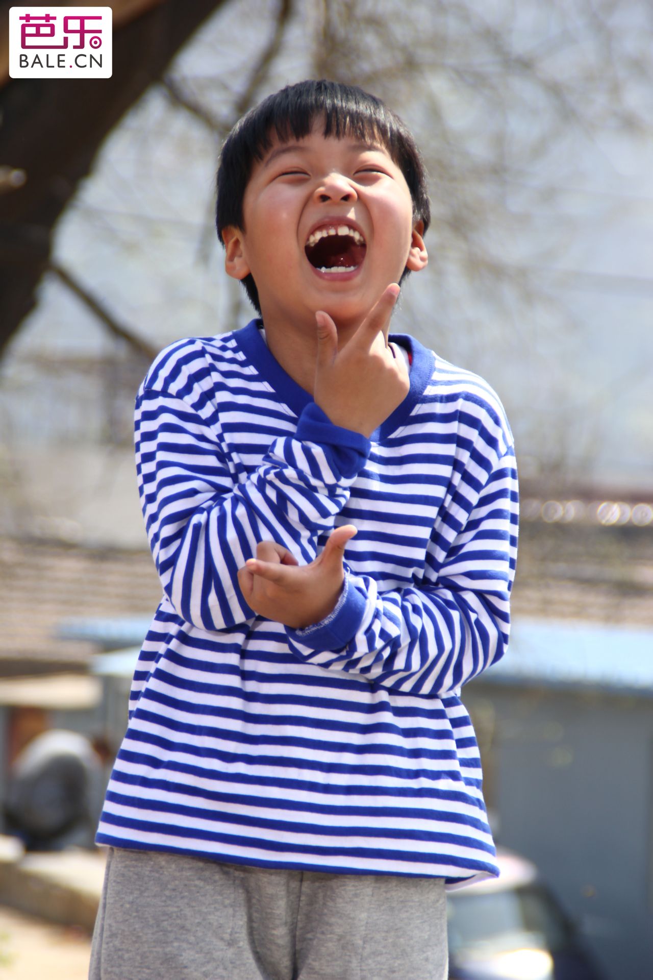 http://www.119127.cn/pics/default/download/a4395291671701f3460f8589ecfdb64c.jpg