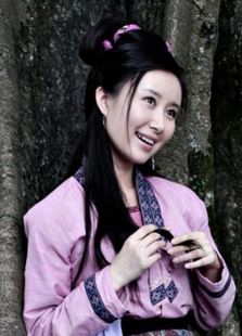 劉三姐（2010）