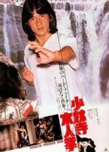少林木人巷 國語